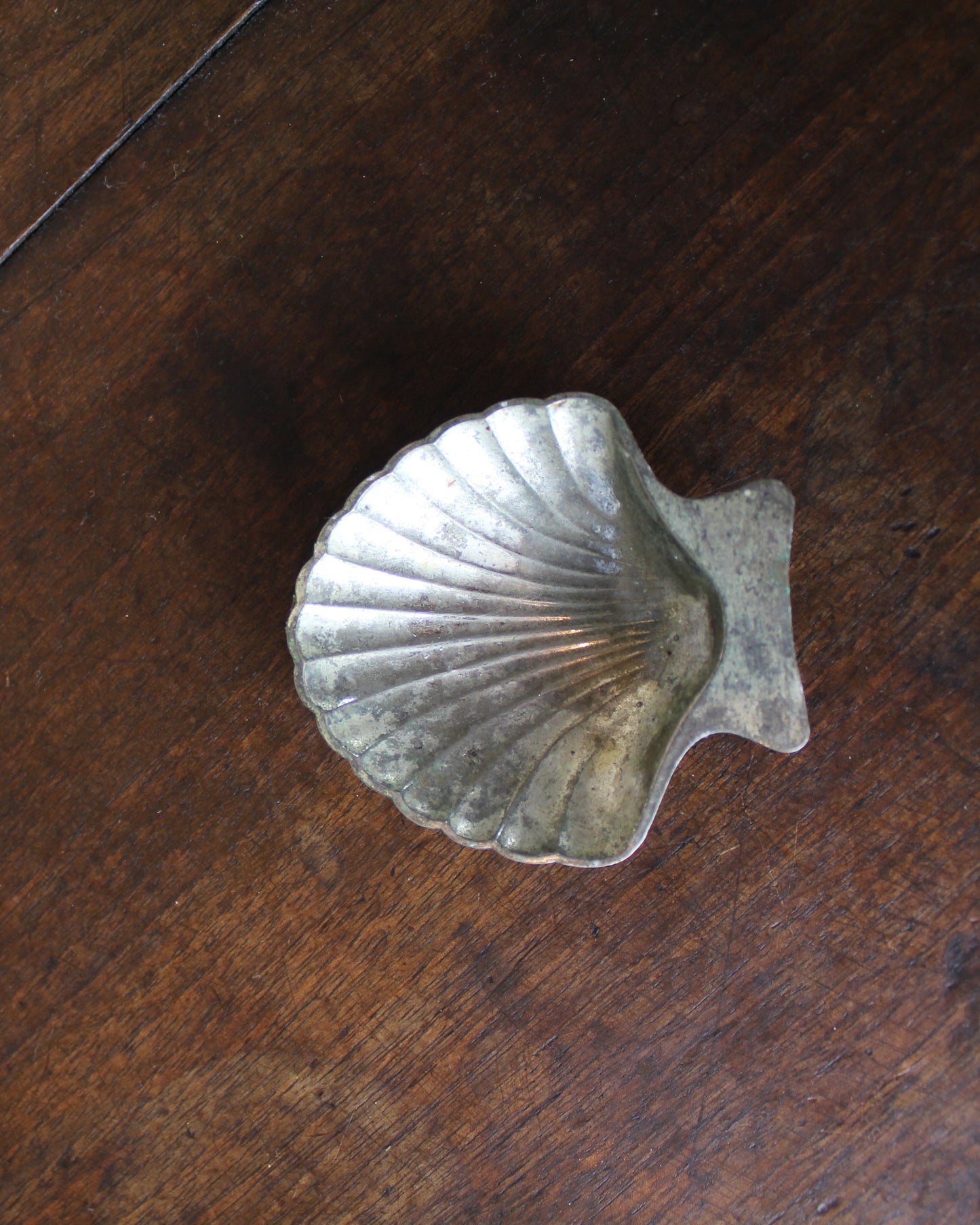 Clam Shell Salt Cellar