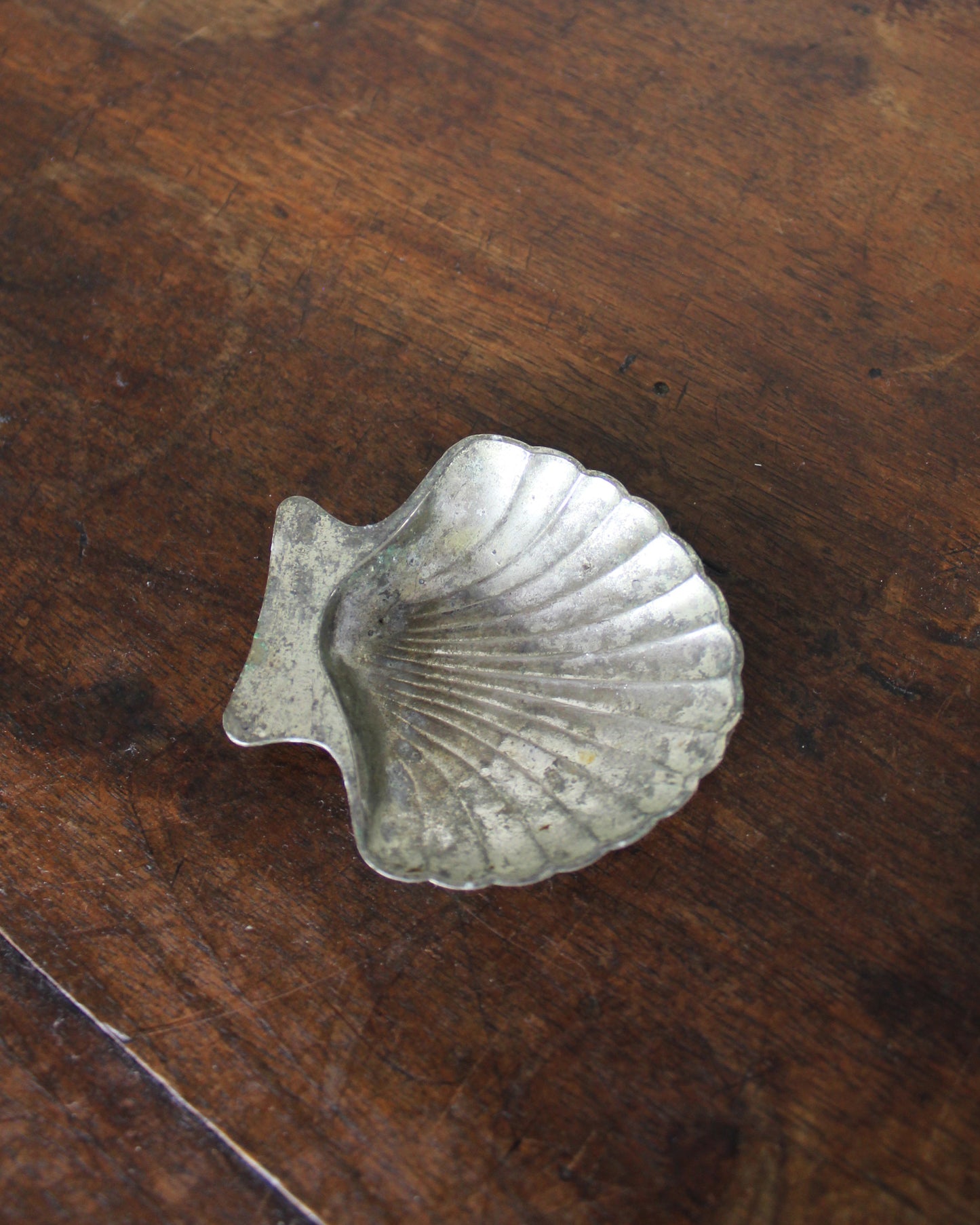 Clam Shell Salt Cellar
