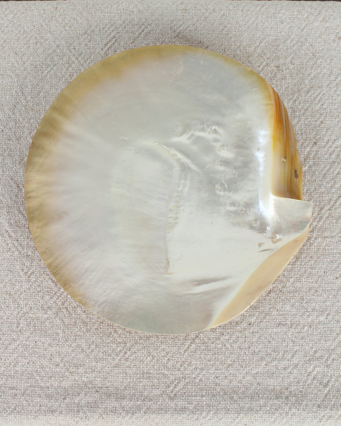 Mother of Pearl Caviar Dish