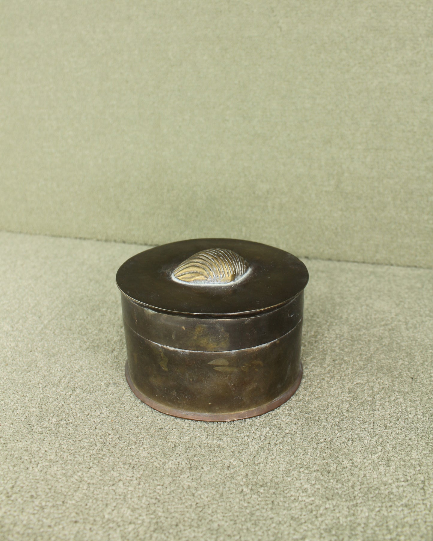 Brass Shell Lidded Box
