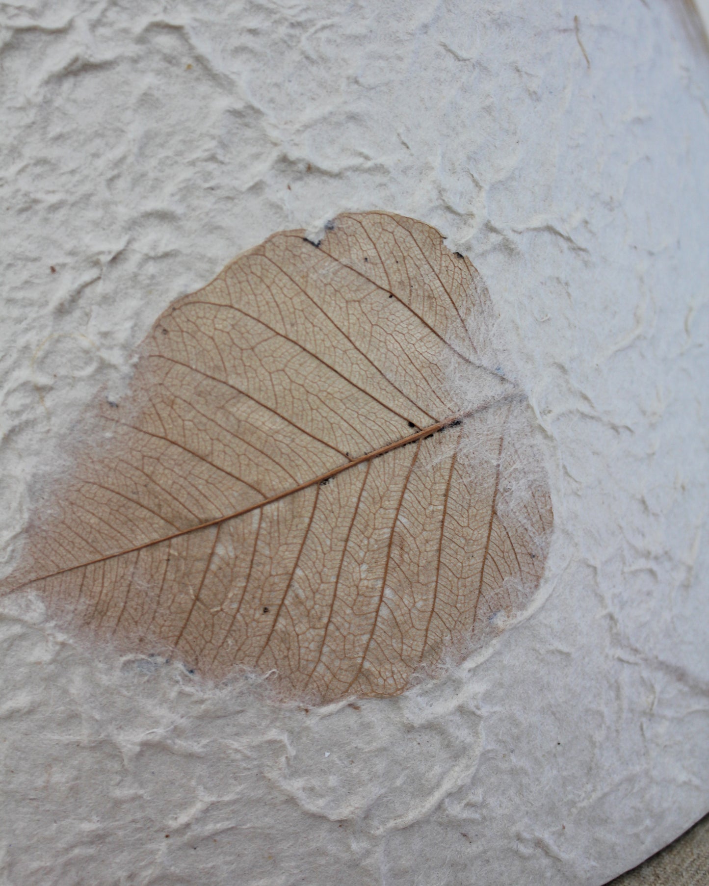 Papier Mache Leaf Lampshade