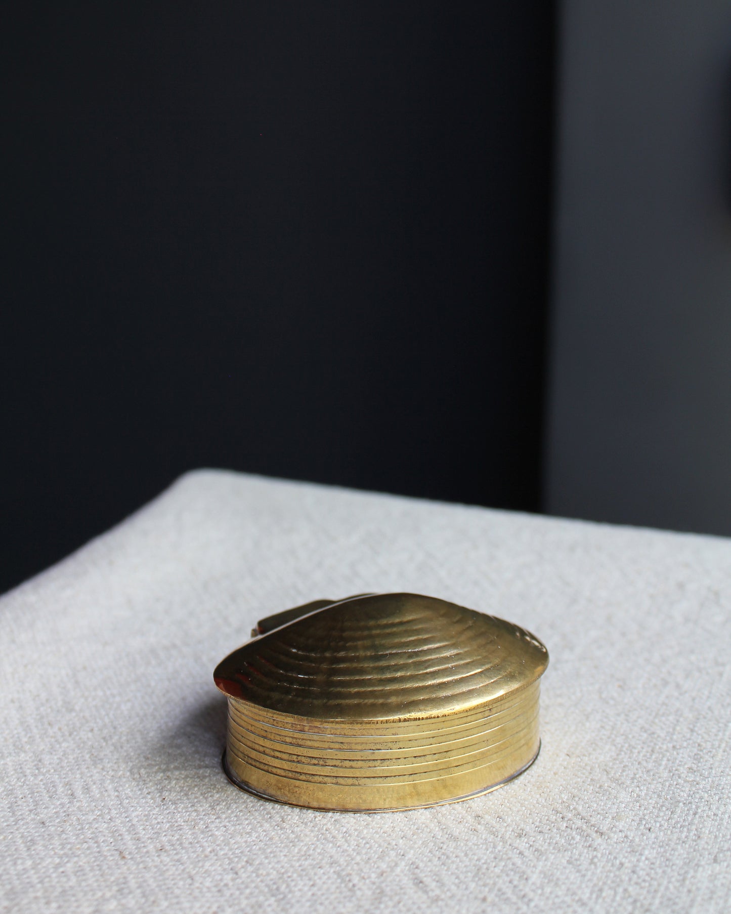 Brass Seashell Treasure Box