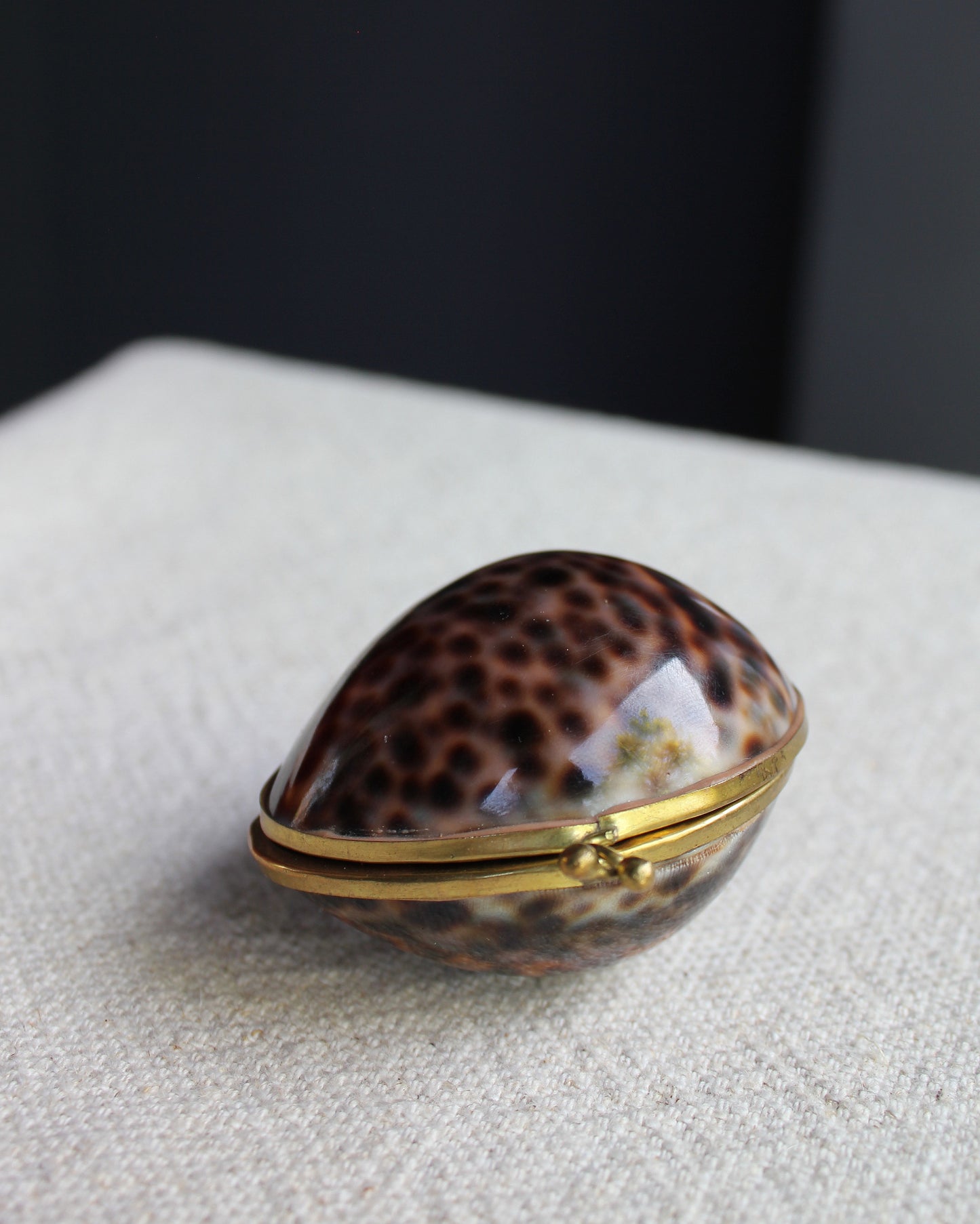 Brass Cowrie Shell Box