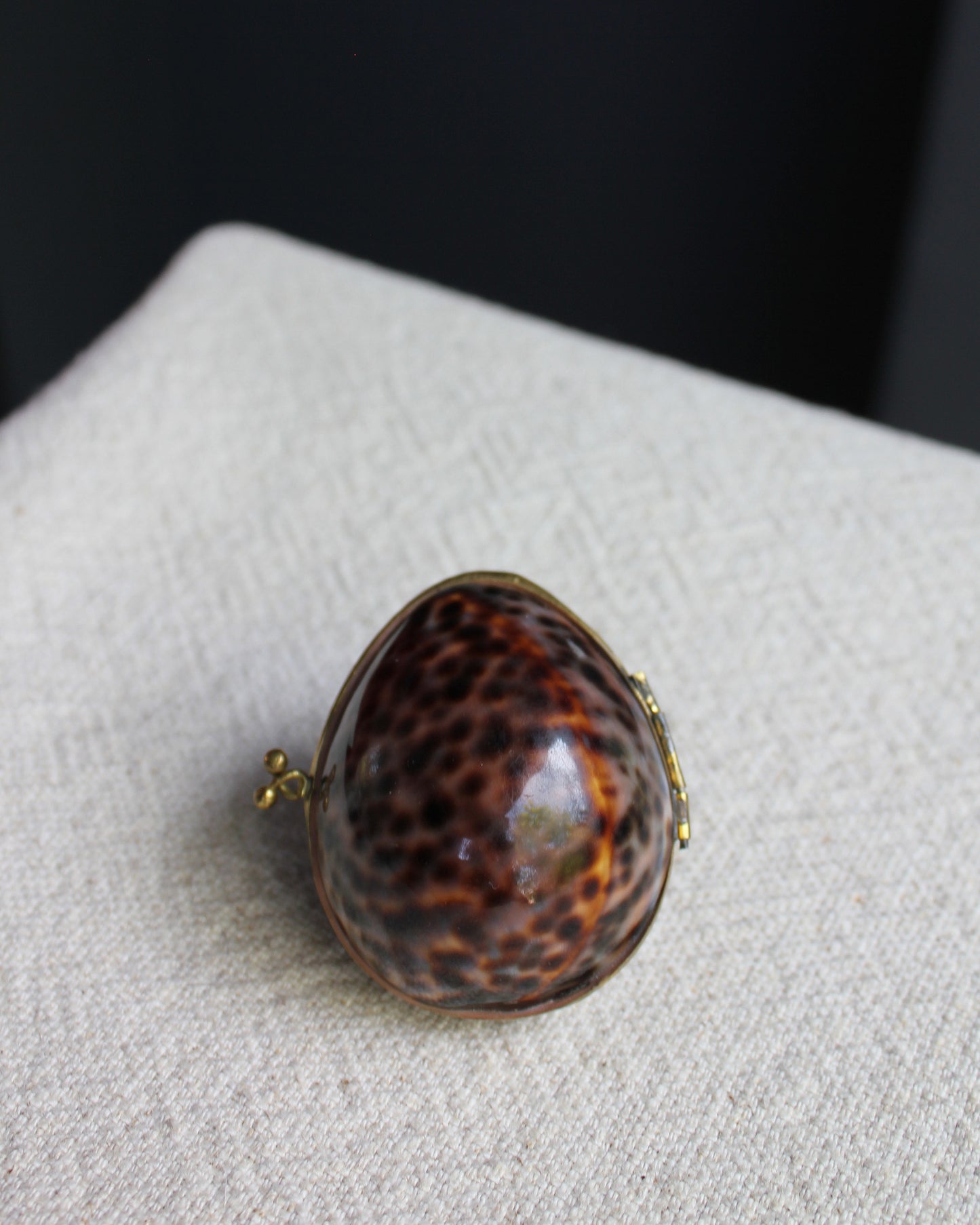 Brass Cowrie Shell Box