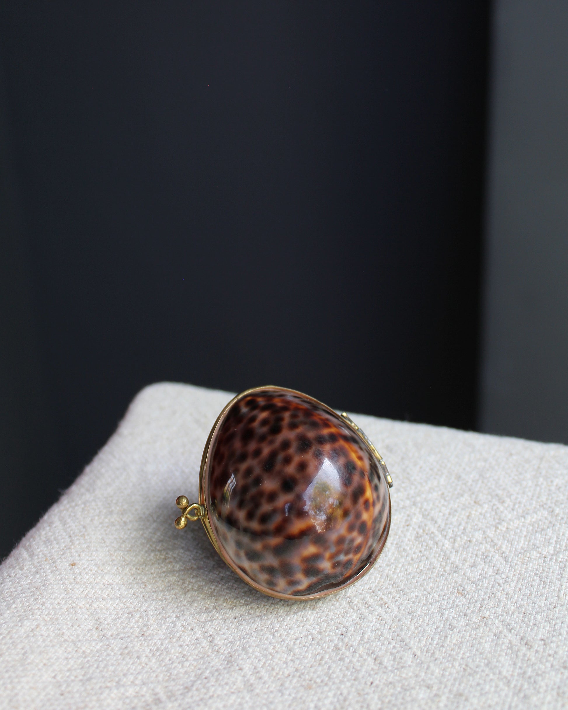 1900s Vintage Brass Cowrie Shell Box