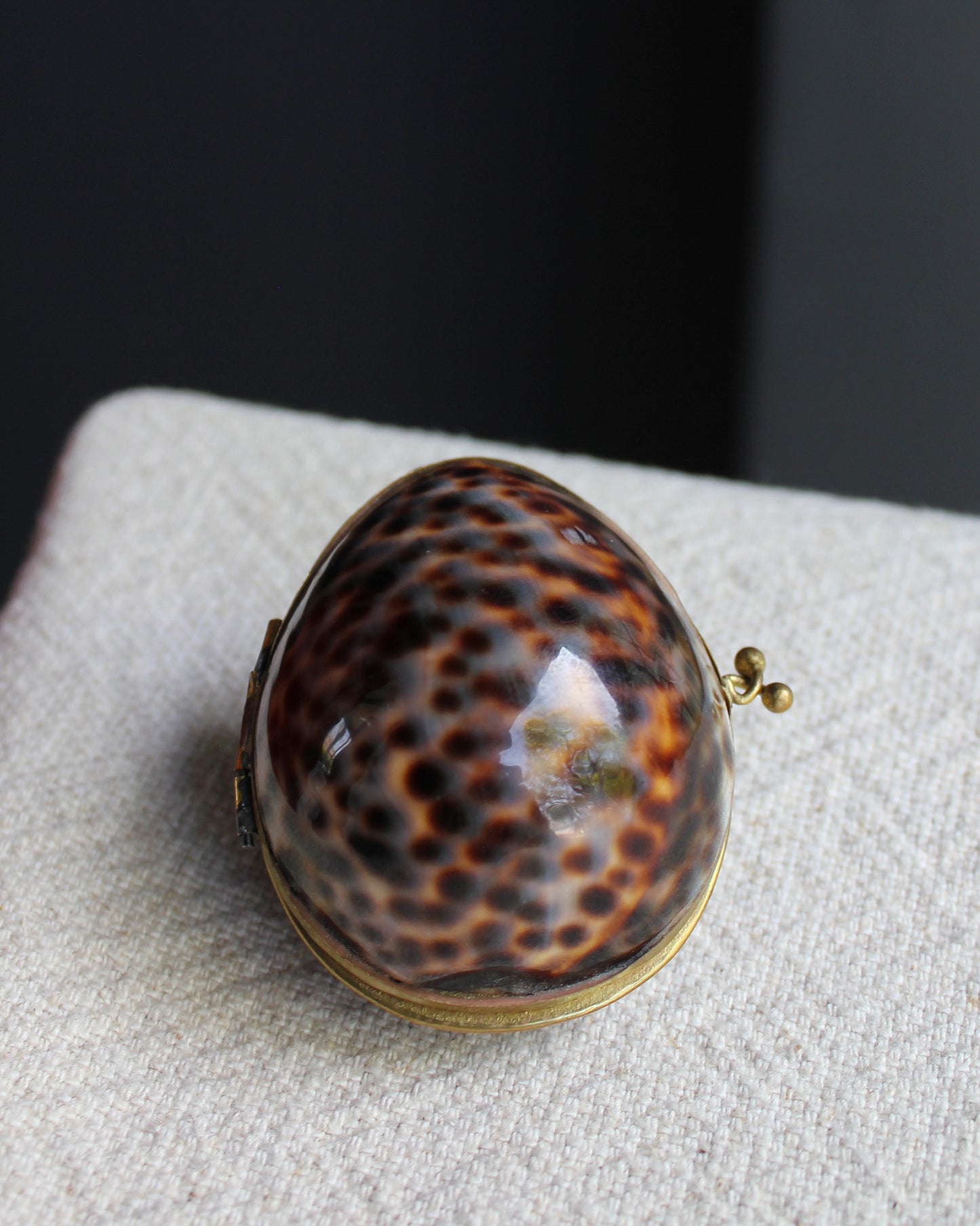 Brass Cowrie Shell Box