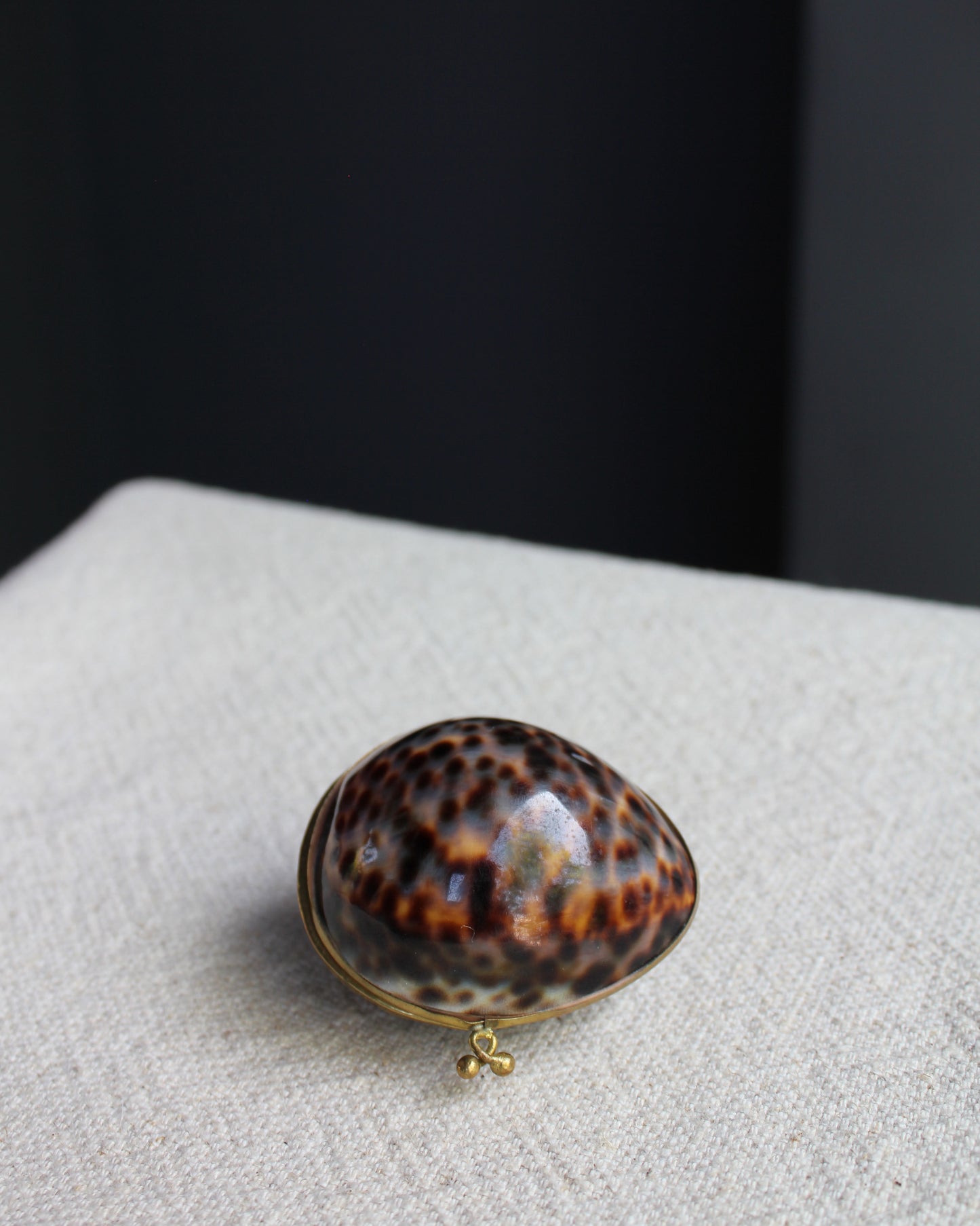 Brass Cowrie Shell Box