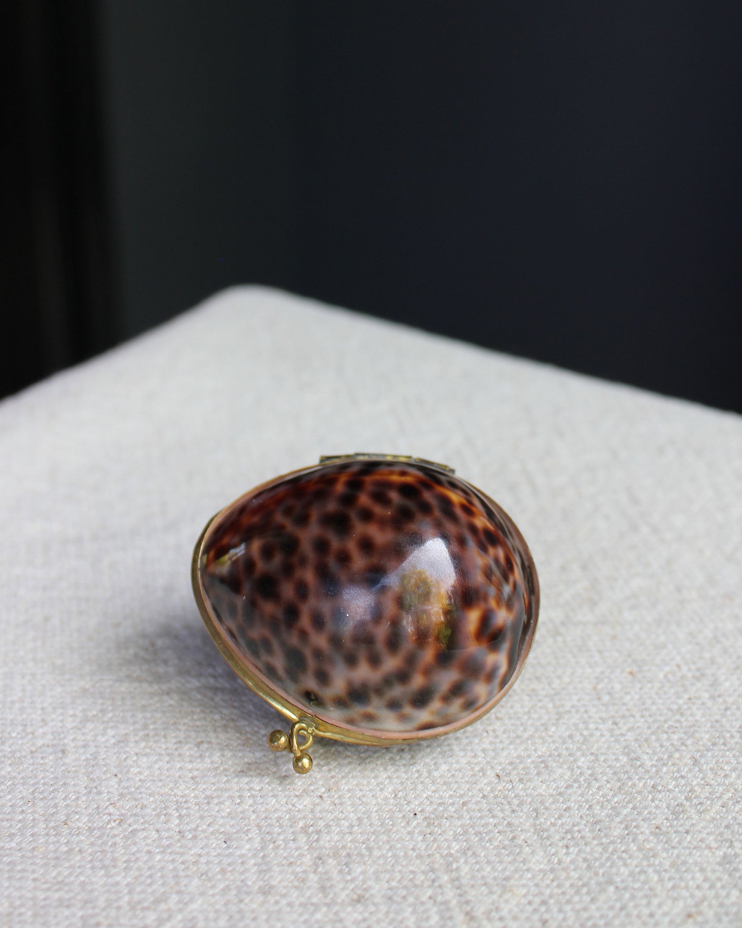 Brass Cowrie Shell Box