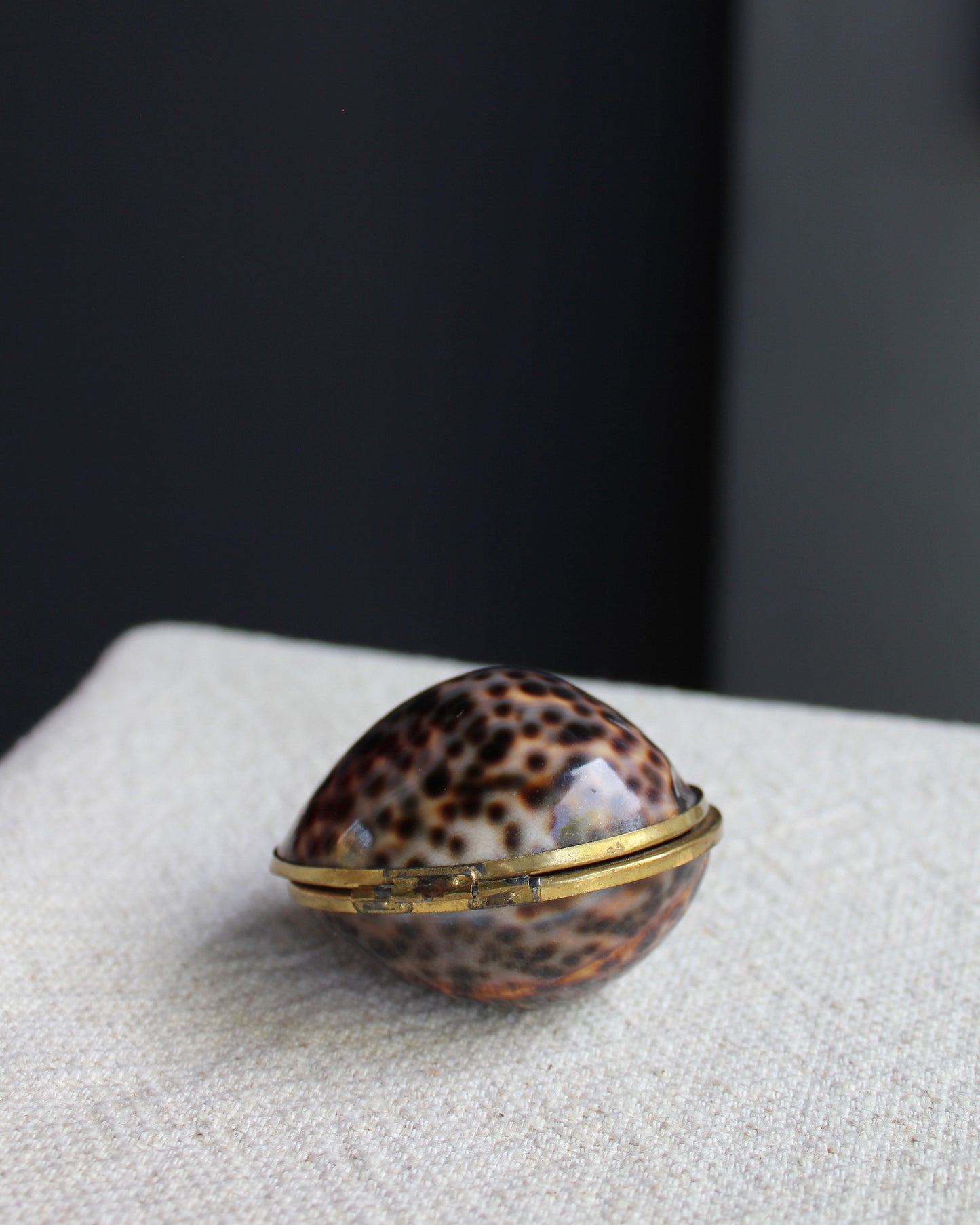 Brass Cowrie Shell Box