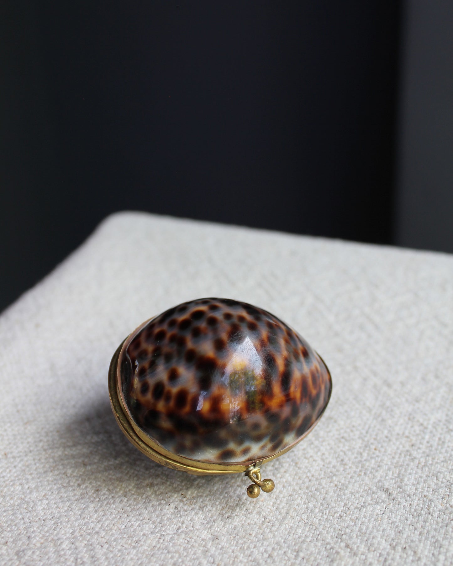 Brass Cowrie Shell Box