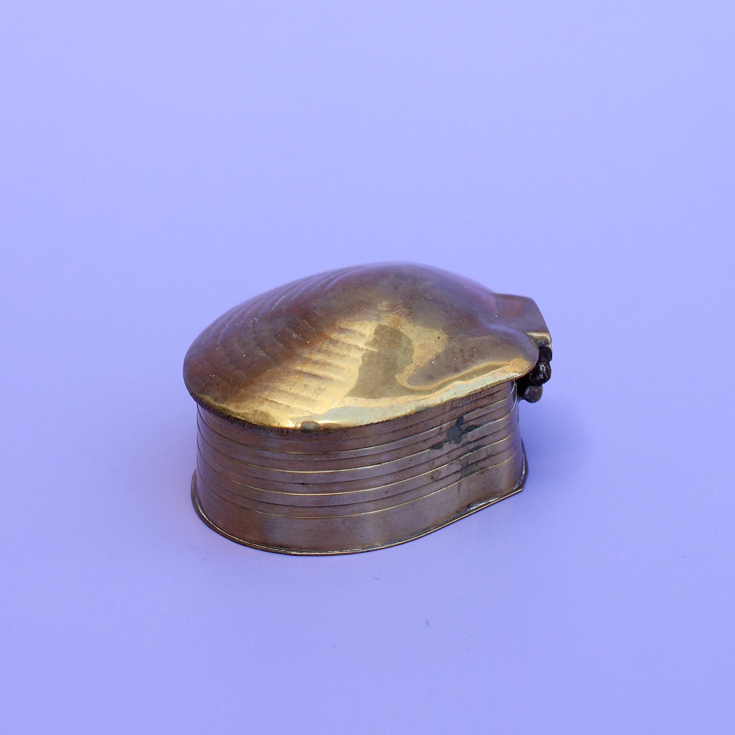 Brass Seashell Treasure Box