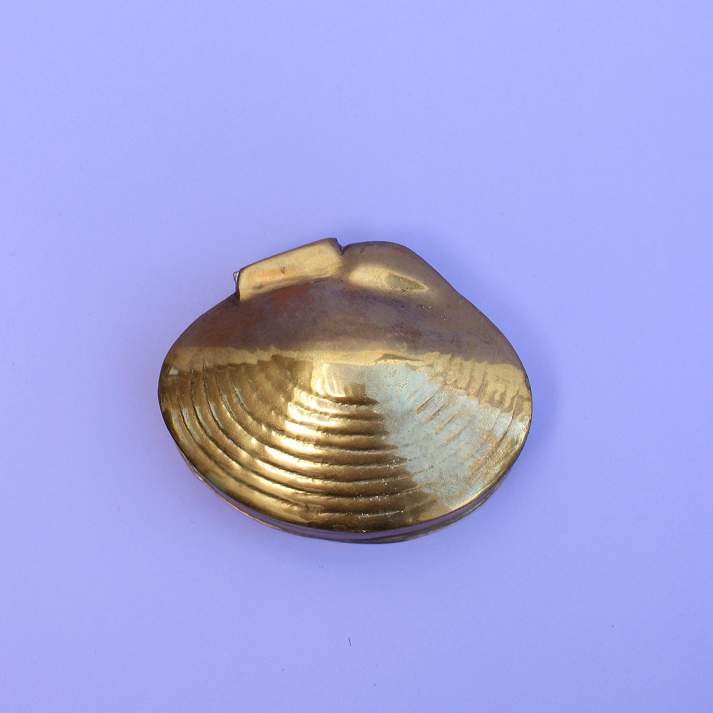 Brass Seashell Treasure Box