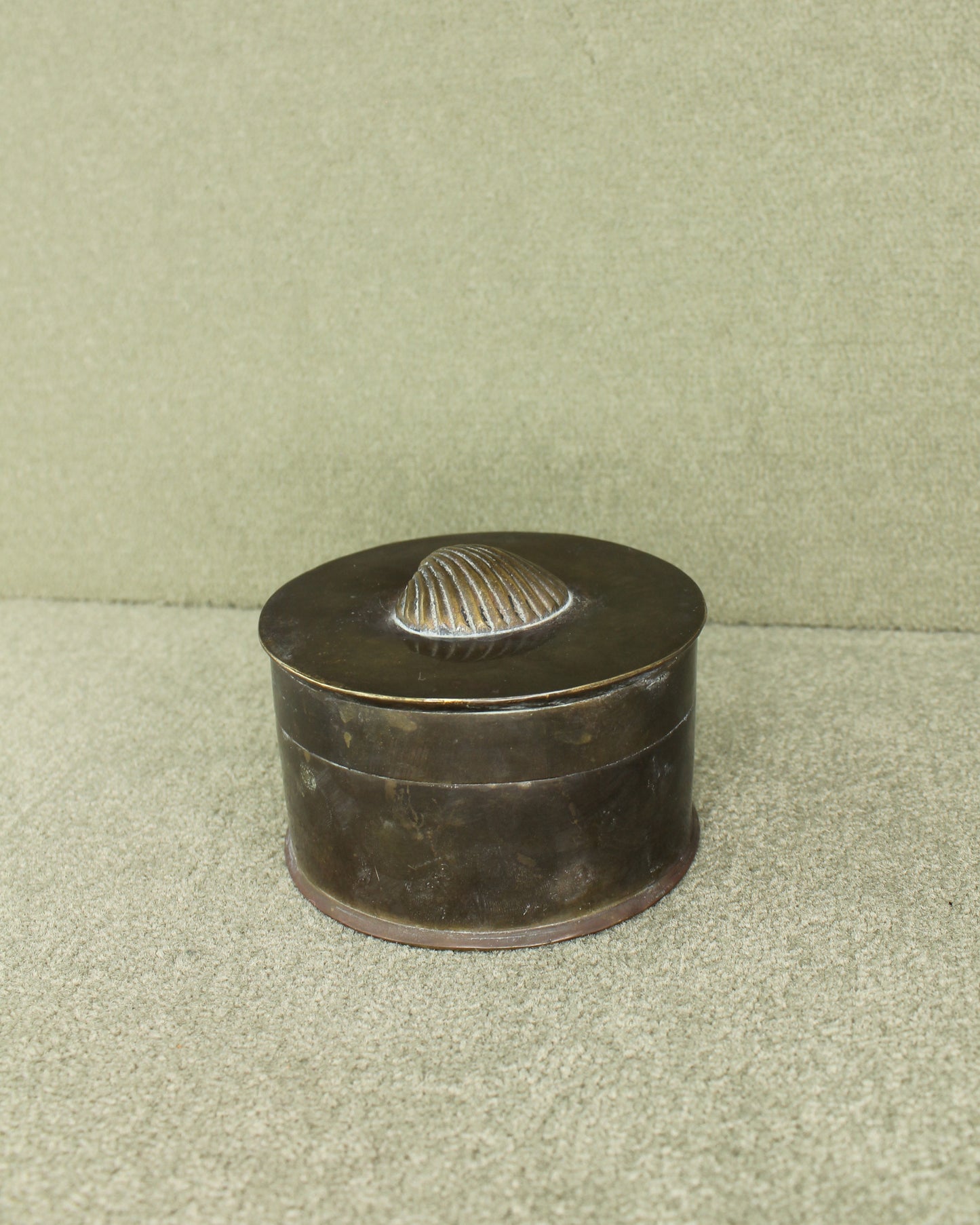 Brass Shell Lidded Box